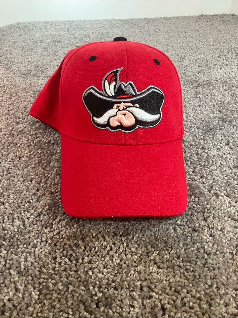 UNLV Rebels Top of the World Fitted Hat Size OS